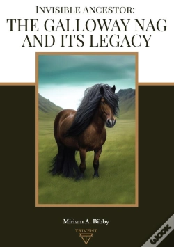 Capa do artigo Invisible Ancestor