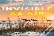 Invisible As Air
