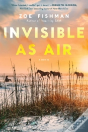 Capa do artigo Invisible As Air