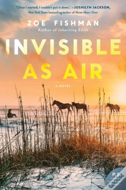 Capa do artigo Invisible As Air