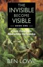 Invisible Become Visible - Preview