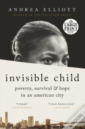 Capa do artigo Invisible Child