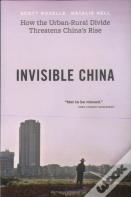 Invisible China
