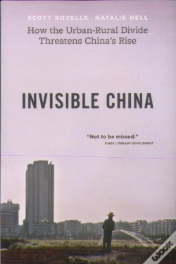 Capa do artigo Invisible China
