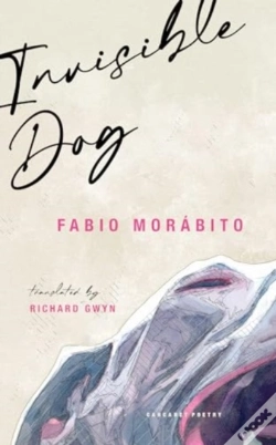 Capa do artigo Invisible Dog