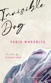 Capa do artigo Invisible Dog