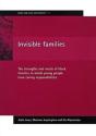 Invisible Families - Preview