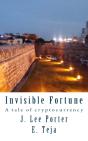 Invisible Fortune - Preview