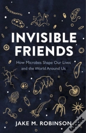 Capa do artigo Invisible Friends