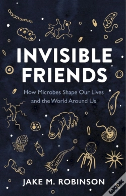 Capa do artigo Invisible Friends