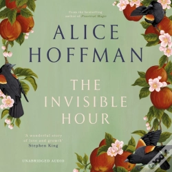 Capa do artigo Invisible Hour