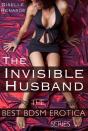 Invisible Husband: Best Bdsm Erotica - Preview