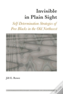 Capa do artigo Invisible In Plain Sight
