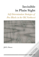Invisible In Plain Sight
