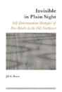 Invisible In Plain Sight - Preview