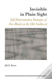 Capa do artigo Invisible In Plain Sight