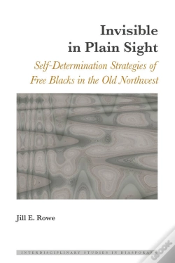 Capa do artigo Invisible In Plain Sight