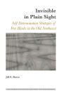 Invisible In Plain Sight - Preview