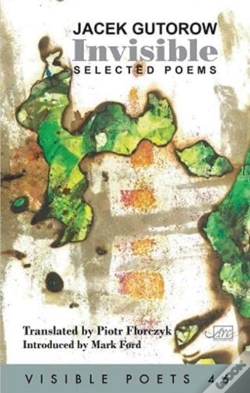 Capa do artigo Invisible