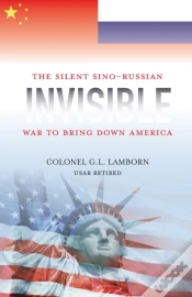 Capa do artigo Invisible