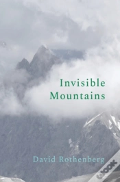 Capa do artigo Invisible Mountains