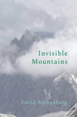 Capa do artigo Invisible Mountains