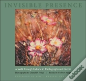 Capa do artigo Invisible Presence