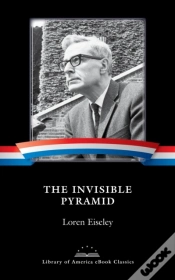 Capa do artigo Invisible Pyramid