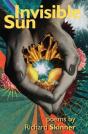 Invisible Sun - Preview