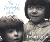 Capa do artigo Invisible Wall