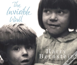 Capa do artigo Invisible Wall