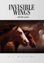 Invisible Wings - Preview