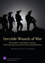Invisible Wounds Of War - Preview