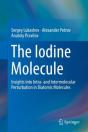 Iodine Molecule - Preview