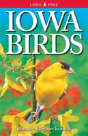Iowa Birds - Preview