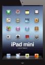 Ipad Mini Zoom Sir - Preview