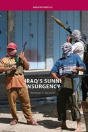 Iraq'S Sunni Insurgency - Preview