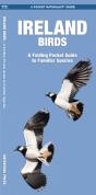 Ireland Birds, 2nd Ed - Preview