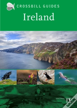 Capa do artigo Ireland