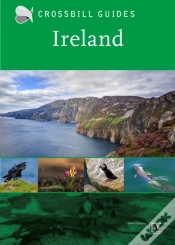 Capa do artigo Ireland