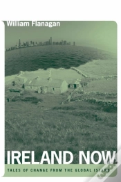 Capa do artigo Ireland Now