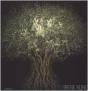 Irene Kung Trees /Anglais - Preview