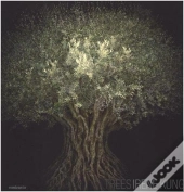 Irene Kung Trees /Anglais