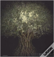 Capa do artigo Irene Kung Trees /Anglais