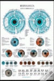 Capa do artigo Iridiologia Poster