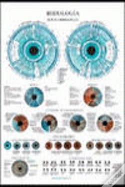 Capa do artigo Iridiologia Poster