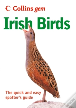 Capa do artigo Irish Birds
