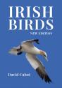 Irish Birds - Preview