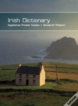Capa do artigo Irish Dictionary