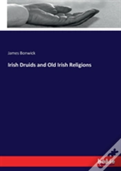 Capa do artigo Irish Druids And Old Irish Religions